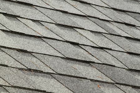 Roof Cleaning